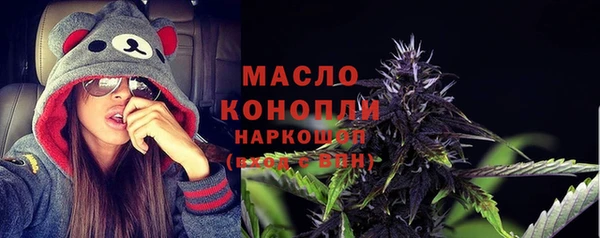 СК Каменка